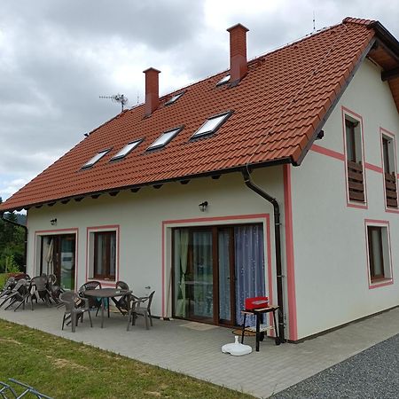 Apartmany U Olsinske Kaplicky Horní Planá Eksteriør bilde
