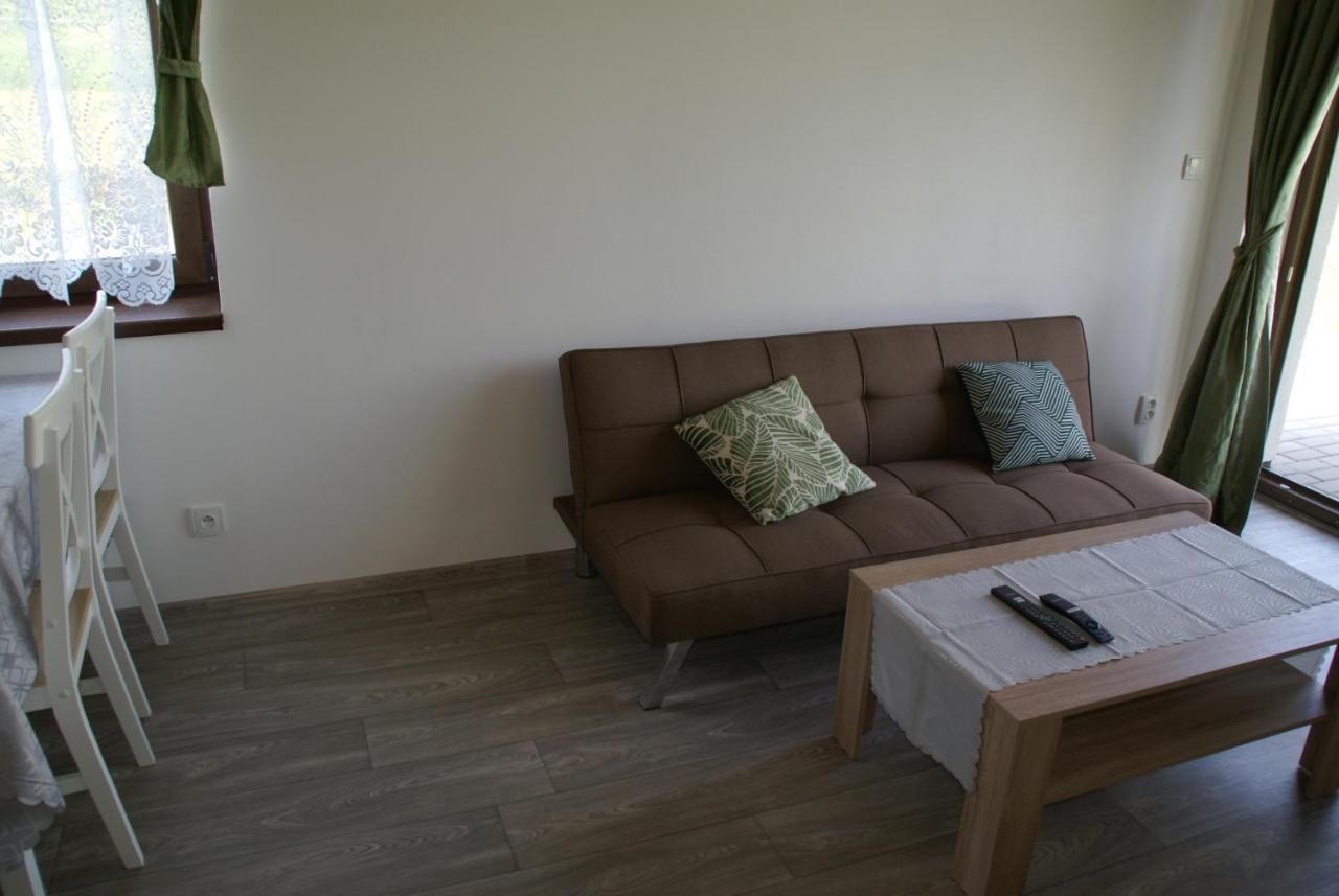 Apartmany U Olsinske Kaplicky Horní Planá Eksteriør bilde