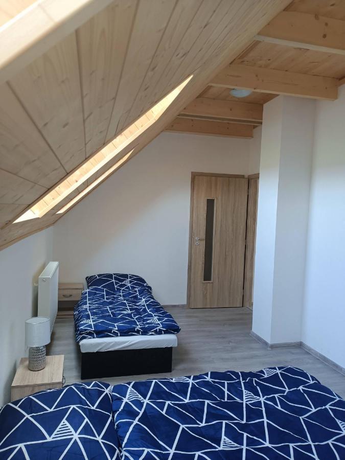 Apartmany U Olsinske Kaplicky Horní Planá Eksteriør bilde
